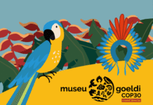 Com entrada gratuita, Museu Goeldi sedia mais de 200 eventos durante a COP30