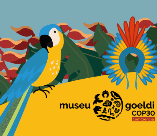 Com entrada gratuita, Museu Goeldi sedia mais de 200 eventos durante a COP30