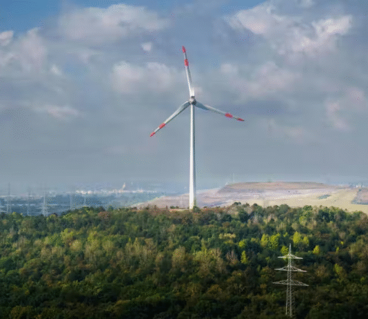 Uso da energia limpa supera o do carvão pela 1ª vez na história