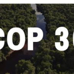 COP30 no Brasil: uma cúpula climática manchada por petróleo e desmatamento