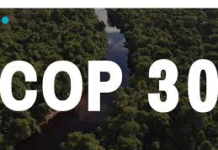 COP30 no Brasil: uma cúpula climática manchada por petróleo e desmatamento