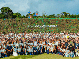 Um olhar crítico sobre a COP 30 e a retórica da transição energética