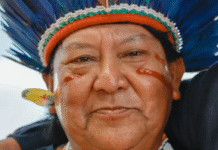 Na COP30, Davi Kopenawa afirma que só governos não têm poder de ‘curar’ danos ambientais