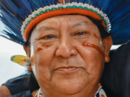 Na COP30, Davi Kopenawa afirma que só governos não têm poder de ‘curar’ danos ambientais