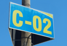 Créditos de carbono expostos: o golpe bilionário construído com base em “esperança, não em provas”