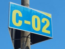 Créditos de carbono expostos: o golpe bilionário construído com base em “esperança, não em provas”