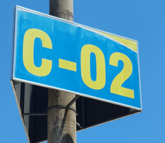 Créditos de carbono expostos: o golpe bilionário construído com base em “esperança, não em provas”