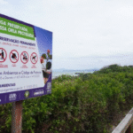 Restingas terão proteção garantida na faixa de 300 metros da praia
