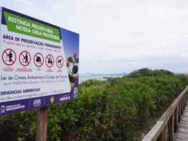 Restingas terão proteção garantida na faixa de 300 metros da praia