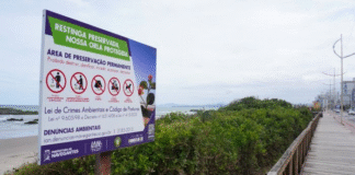 Restingas terão proteção garantida na faixa de 300 metros da praia