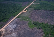 Rio Preto tem disparada no uso de energia renovável