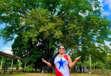 COP 30: O saber das mulheres da floresta em risco com a crise climática