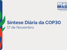 Síntese Diária da COP30 – 17 de Novembro