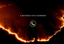 Natureza chamando: às vésperas da COP30, Vivo alerta para emergências climáticas