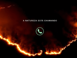 Natureza chamando: às vésperas da COP30, Vivo alerta para emergências climáticas