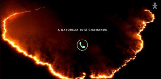Natureza chamando: às vésperas da COP30, Vivo alerta para emergências climáticas
