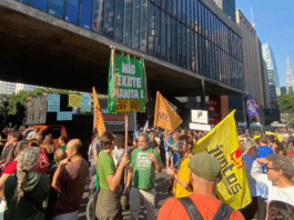 Organizações temem que Congresso derrube vetos do “PL da Devastação”