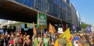 Organizações temem que Congresso derrube vetos do “PL da Devastação”