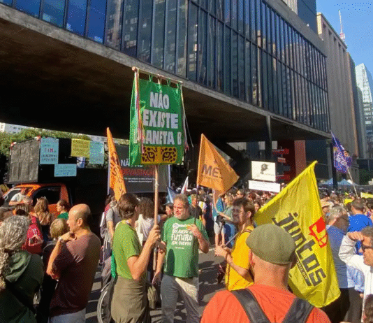 Organizações temem que Congresso derrube vetos do “PL da Devastação”