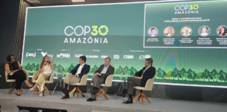Daniel Camargos: Por que gigantes da mineração e do agro financiam a cobertura da COP 30