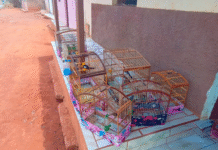 Influenciador é autuado pelo Ibama por divulgar vídeos de caça ilegal na Bahia