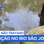 Contaminação e morte da vida aquática alertam sobre poluição no Rio São João