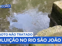 Contaminação e morte da vida aquática alertam sobre poluição no Rio São João