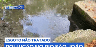 Contaminação e morte da vida aquática alertam sobre poluição no Rio São João