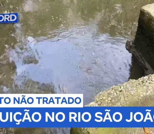 Contaminação e morte da vida aquática alertam sobre poluição no Rio São João