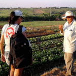 “O sistema alimentar do século 21 terá que ser muito diferente do que foi no século 20″