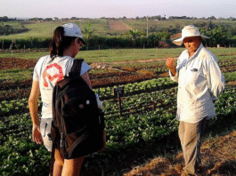“O sistema alimentar do século 21 terá que ser muito diferente do que foi no século 20″