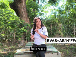 Determinação da Biomassa Viva acima do solo no Ciep 412 Dr. Zerbini