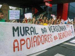 Ambientalistas fazem protestos contra nova lei do licenciamento