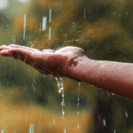 ‘Precisamos parar de lutar contra a água’