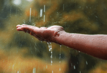 ‘Precisamos parar de lutar contra a água’