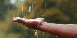 ‘Precisamos parar de lutar contra a água’