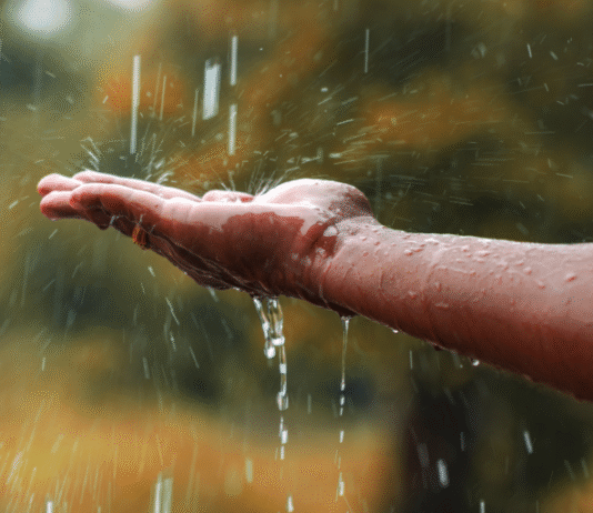 ‘Precisamos parar de lutar contra a água’