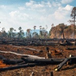 Entre o sutil e o explícito, o Brasil caminha para o precipício climático