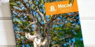 Prefeitura lança Manual de Arborização Urbana de Macaé