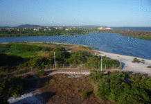 Lagoa de Iriry agoniza: Maquiagem da Prefeitura esconde falta de saneamento real