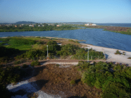 Lagoa de Iriry agoniza: Maquiagem da Prefeitura esconde falta de saneamento real