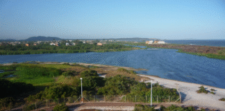 Lagoa de Iriry agoniza: Maquiagem da Prefeitura esconde falta de saneamento real