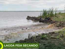 A dramática situação da Lagoa Feia: entre mudanças climáticas e ações humanas, um rico ecossistema é levado ao colapso