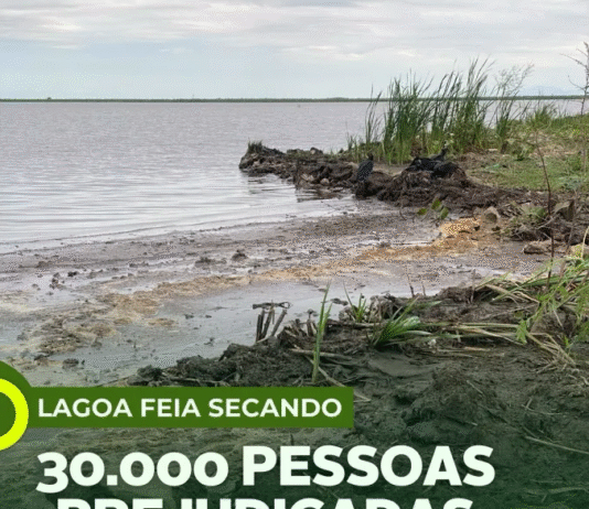 A dramática situação da Lagoa Feia: entre mudanças climáticas e ações humanas, um rico ecossistema é levado ao colapso