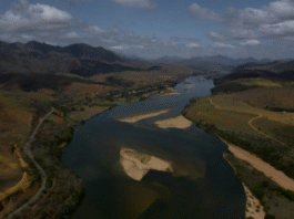 A parte mais difícil era a pesquisa e isso já tava tudo encaminhado