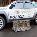 Homem mantém aves em cativeiro e leva multa de R$ 28 mil