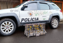 Homem mantém aves em cativeiro e leva multa de R$ 28 mil