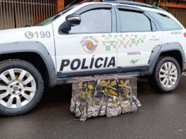 Homem mantém aves em cativeiro e leva multa de R$ 28 mil