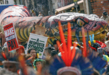 A COP30, a Universidade e a Amazônia como horizonte de governança climática