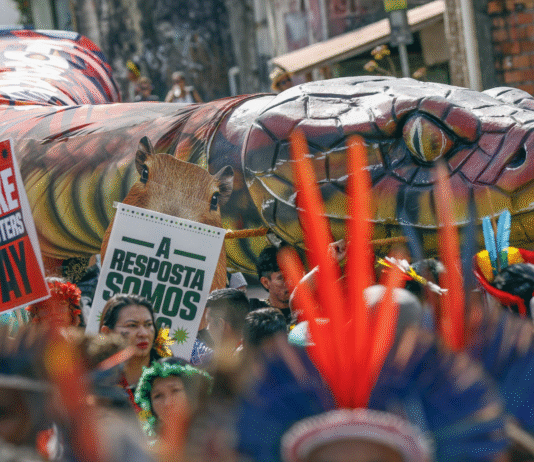 A COP30, a Universidade e a Amazônia como horizonte de governança climática